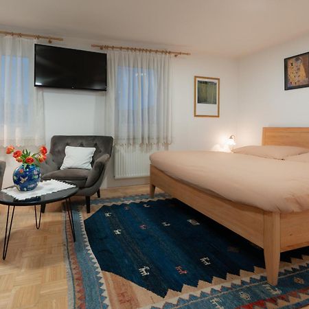 Homely Apartment In The Center With Garden View Gmunden Kültér fotó